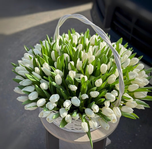 Busket Of Tulips