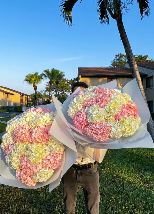 Pink&White Hydrangea Bouquet